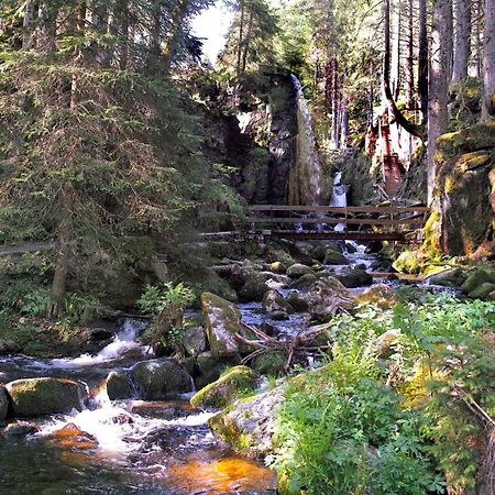 C4 Albmatte-Fewo Sauna, Hallenbad Aussenbecken Massagen Nebenan Menzenschwand-Hinterdorf المظهر الخارجي الصورة