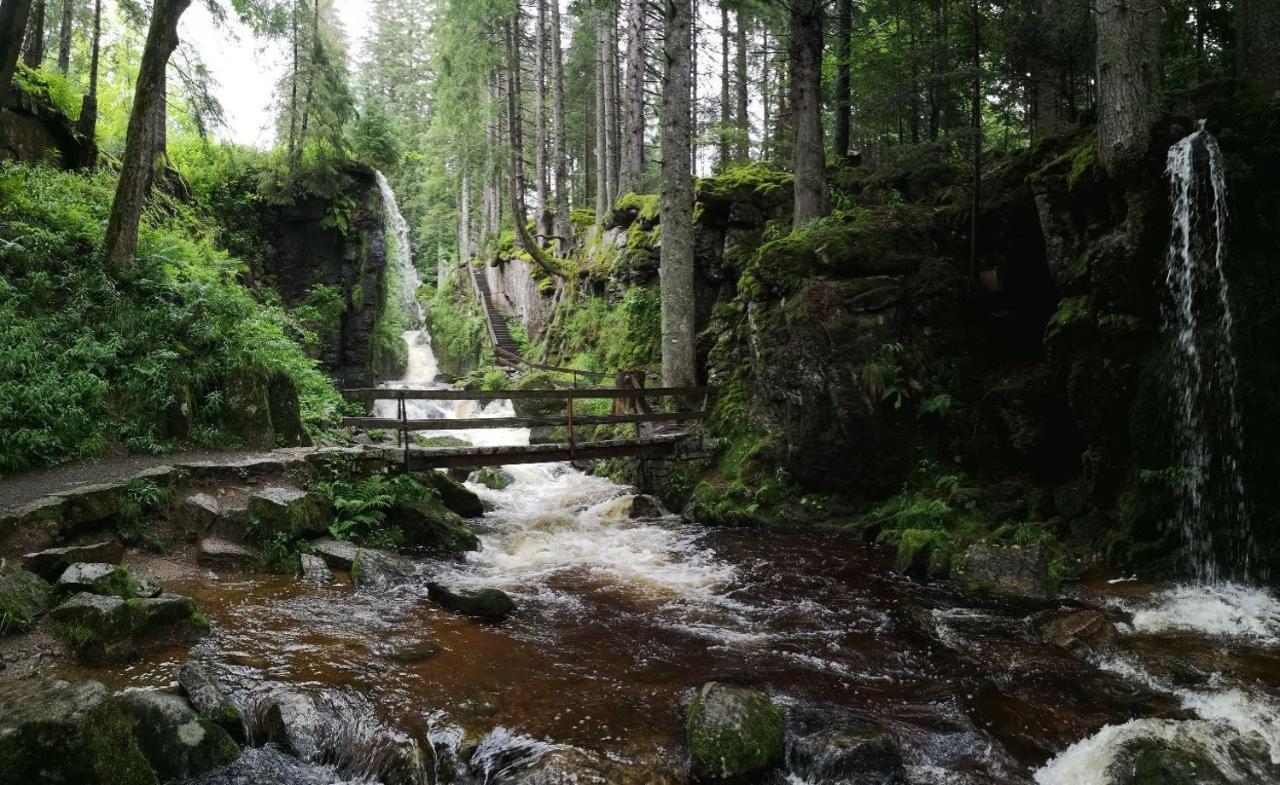 C4 Albmatte-Fewo Sauna, Hallenbad Aussenbecken Massagen Nebenan Menzenschwand-Hinterdorf المظهر الخارجي الصورة