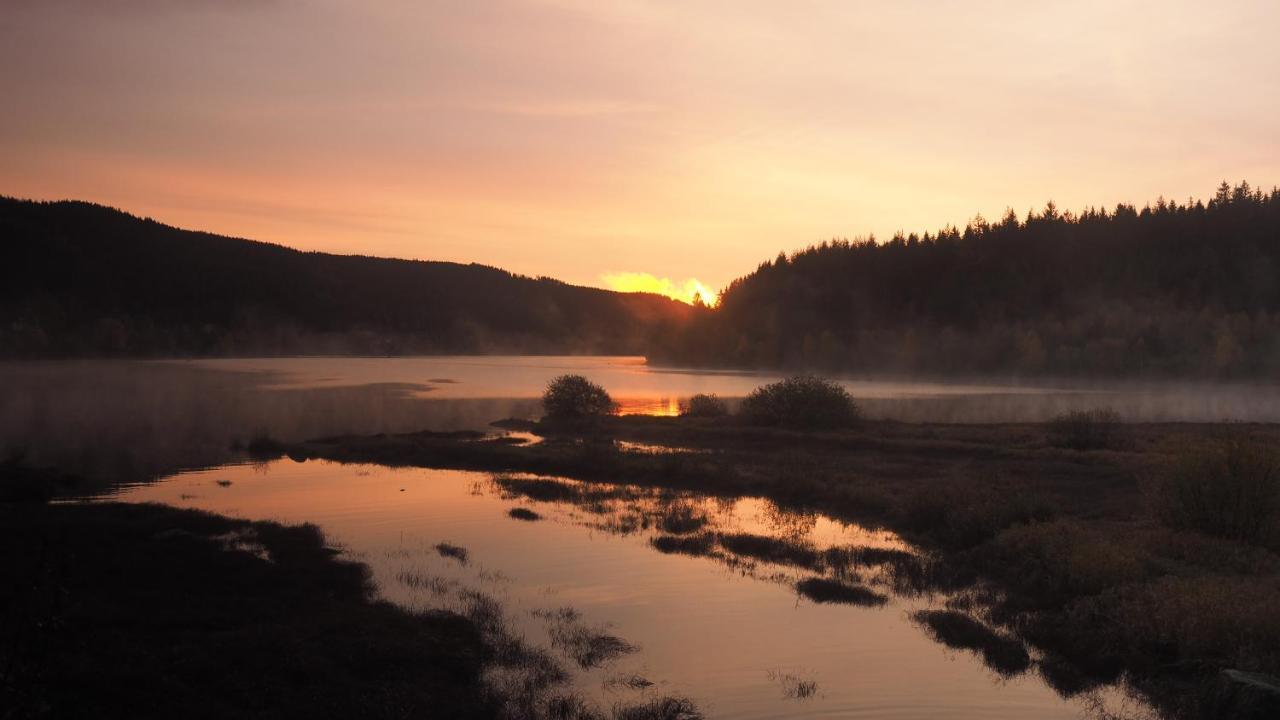 C4 Albmatte-Fewo Sauna, Hallenbad Aussenbecken Massagen Nebenan Menzenschwand-Hinterdorf المظهر الخارجي الصورة