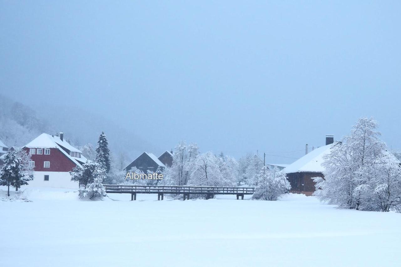 C4 Albmatte-Fewo Sauna, Hallenbad Aussenbecken Massagen Nebenan Menzenschwand-Hinterdorf المظهر الخارجي الصورة