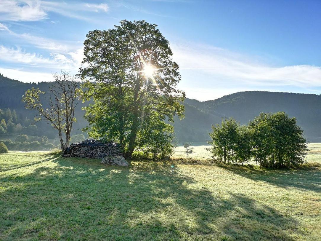 C4 Albmatte-Fewo Sauna, Hallenbad Aussenbecken Massagen Nebenan Menzenschwand-Hinterdorf المظهر الخارجي الصورة