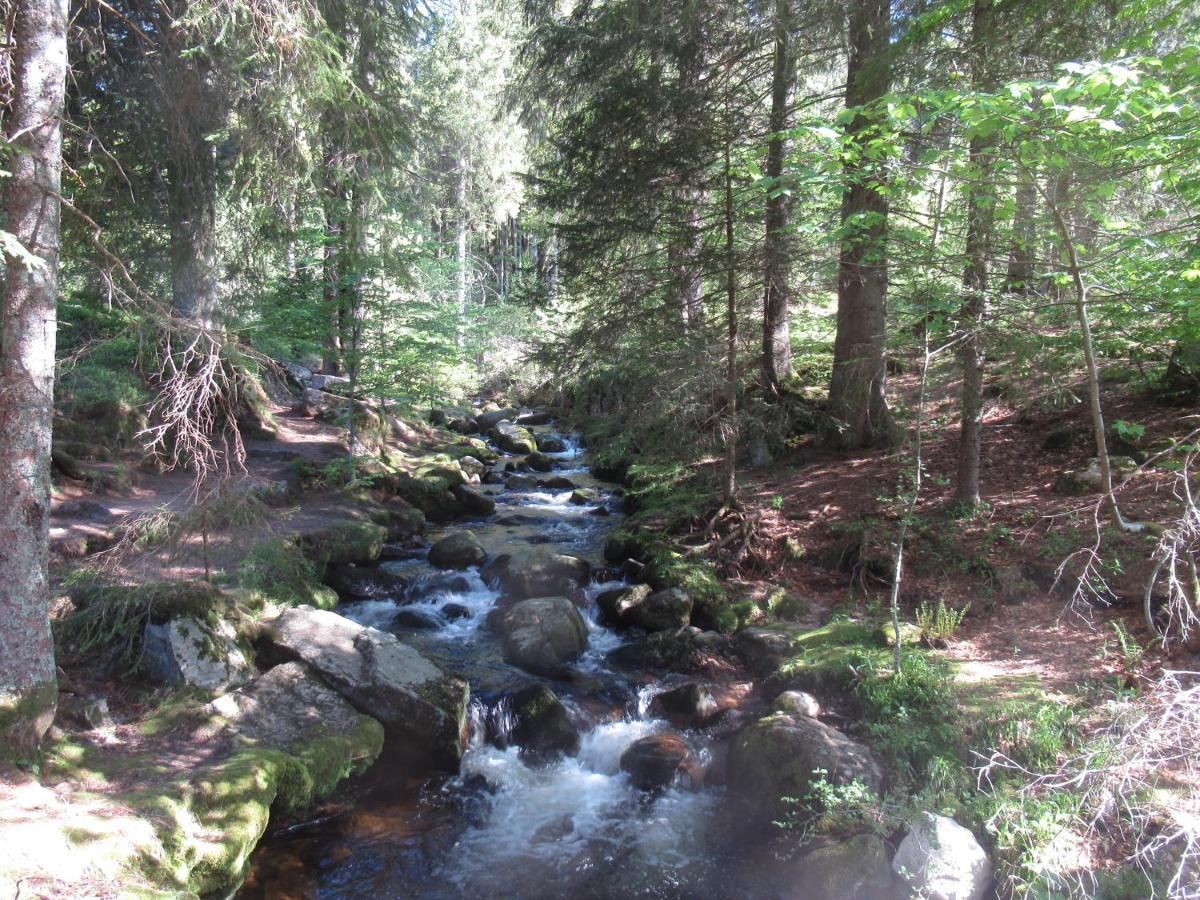 C4 Albmatte-Fewo Sauna, Hallenbad Aussenbecken Massagen Nebenan Menzenschwand-Hinterdorf المظهر الخارجي الصورة
