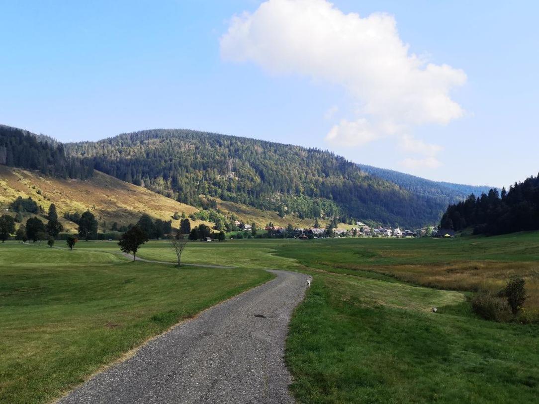 C4 Albmatte-Fewo Sauna, Hallenbad Aussenbecken Massagen Nebenan Menzenschwand-Hinterdorf المظهر الخارجي الصورة