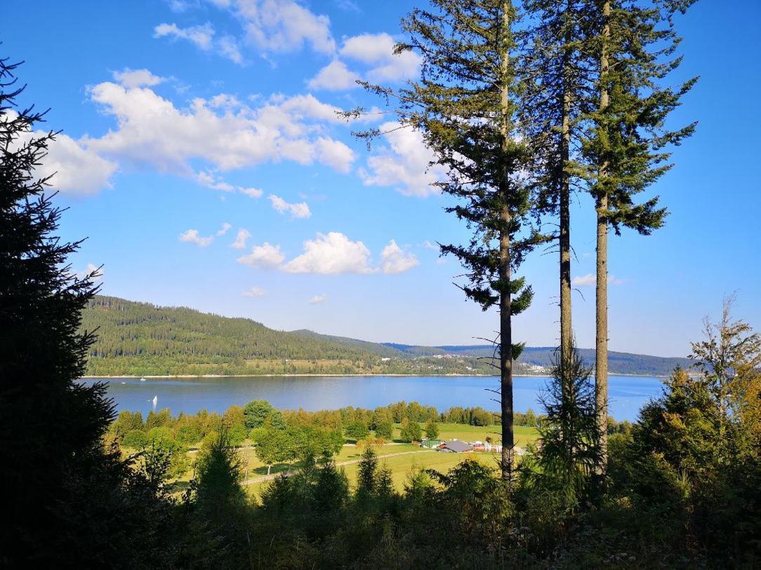 C4 Albmatte-Fewo Sauna, Hallenbad Aussenbecken Massagen Nebenan Menzenschwand-Hinterdorf المظهر الخارجي الصورة