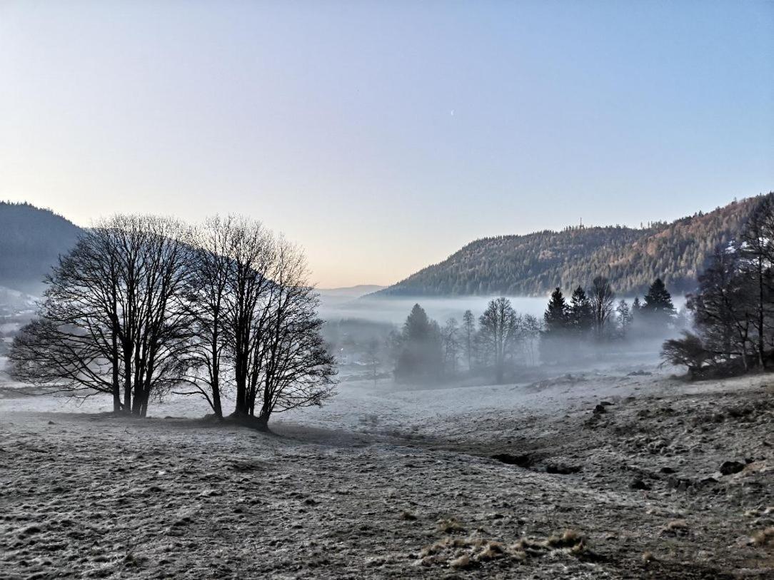 C4 Albmatte-Fewo Sauna, Hallenbad Aussenbecken Massagen Nebenan Menzenschwand-Hinterdorf المظهر الخارجي الصورة