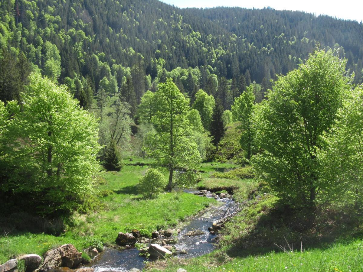 C4 Albmatte-Fewo Sauna, Hallenbad Aussenbecken Massagen Nebenan Menzenschwand-Hinterdorf المظهر الخارجي الصورة
