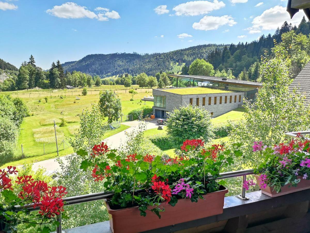 C4 Albmatte-Fewo Sauna, Hallenbad Aussenbecken Massagen Nebenan Menzenschwand-Hinterdorf المظهر الخارجي الصورة