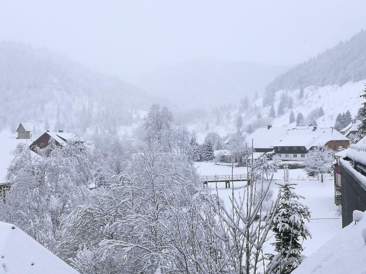 C4 Albmatte-Fewo Sauna, Hallenbad Aussenbecken Massagen Nebenan Menzenschwand-Hinterdorf المظهر الخارجي الصورة