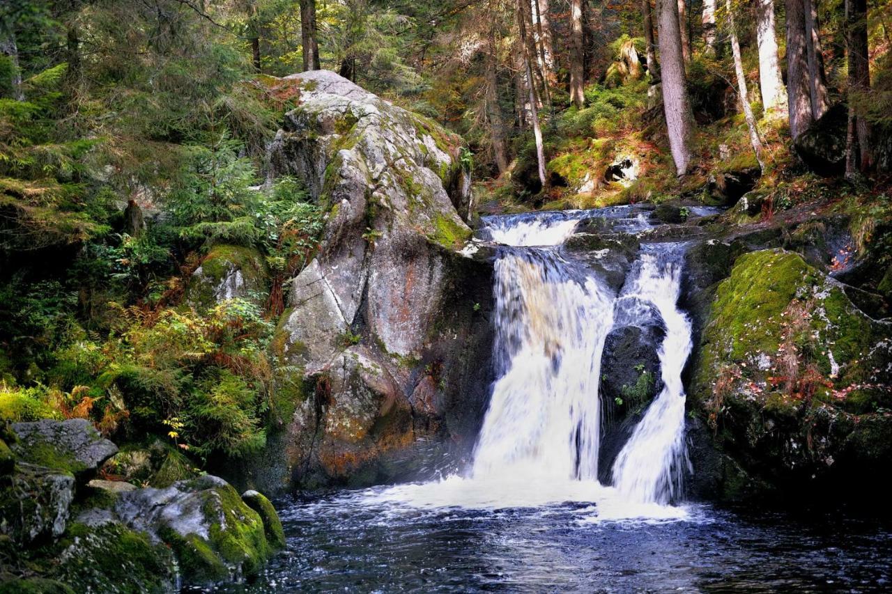 C4 Albmatte-Fewo Sauna, Hallenbad Aussenbecken Massagen Nebenan Menzenschwand-Hinterdorf المظهر الخارجي الصورة