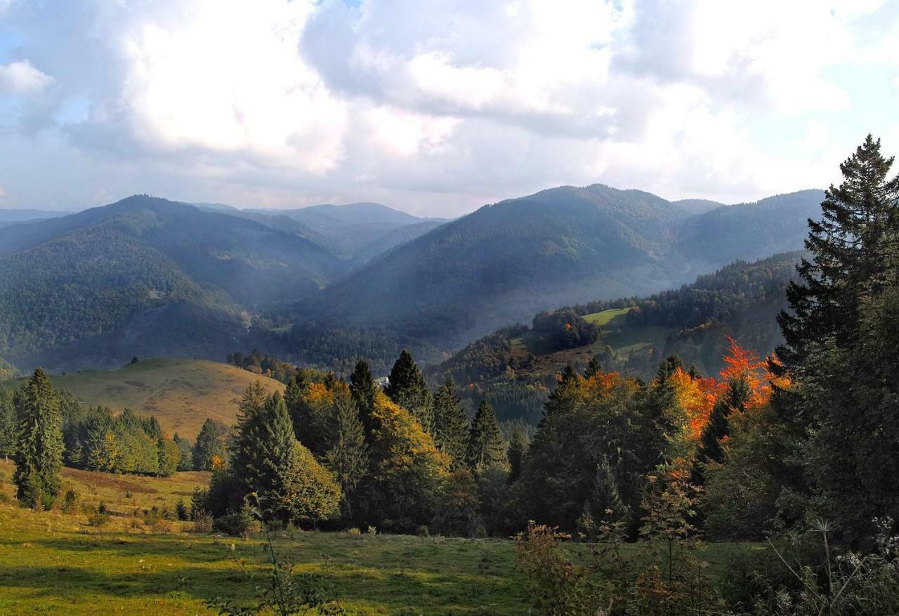 C4 Albmatte-Fewo Sauna, Hallenbad Aussenbecken Massagen Nebenan Menzenschwand-Hinterdorf المظهر الخارجي الصورة