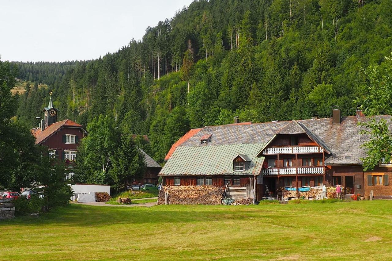 C4 Albmatte-Fewo Sauna, Hallenbad Aussenbecken Massagen Nebenan Menzenschwand-Hinterdorf المظهر الخارجي الصورة