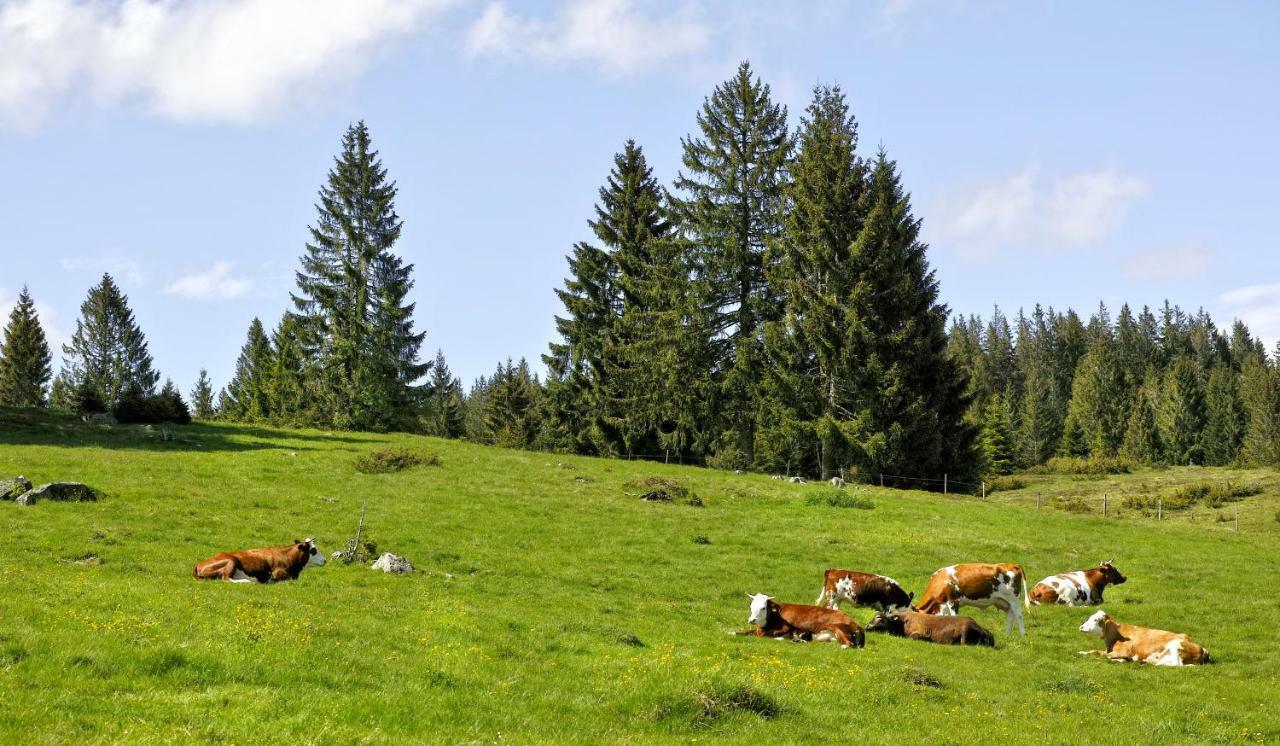 C4 Albmatte-Fewo Sauna, Hallenbad Aussenbecken Massagen Nebenan Menzenschwand-Hinterdorf المظهر الخارجي الصورة