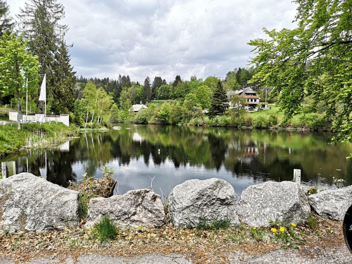 C4 Albmatte-Fewo Sauna, Hallenbad Aussenbecken Massagen Nebenan Menzenschwand-Hinterdorf المظهر الخارجي الصورة