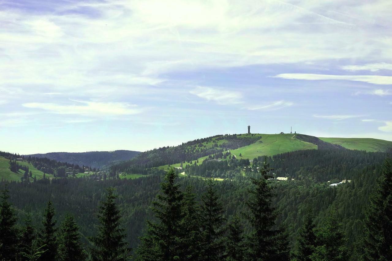 C4 Albmatte-Fewo Sauna, Hallenbad Aussenbecken Massagen Nebenan Menzenschwand-Hinterdorf المظهر الخارجي الصورة