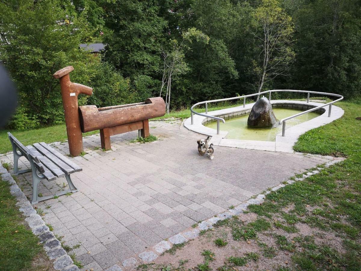 C4 Albmatte-Fewo Sauna, Hallenbad Aussenbecken Massagen Nebenan Menzenschwand-Hinterdorf المظهر الخارجي الصورة