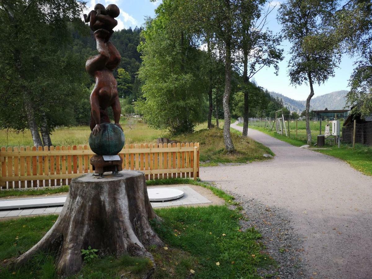 C4 Albmatte-Fewo Sauna, Hallenbad Aussenbecken Massagen Nebenan Menzenschwand-Hinterdorf المظهر الخارجي الصورة